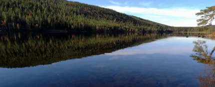 Lake Navarsjön with trees in the background 