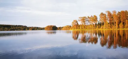 Lake Rämma in sunshine and autumncoloured trees