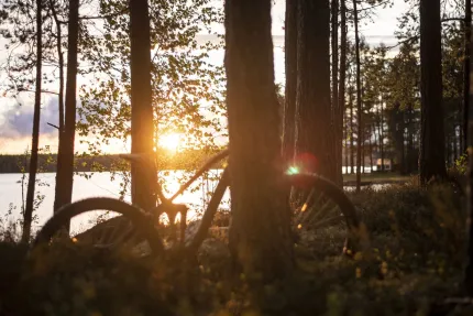 Cykel står lutad mot ett träd i solnedgången.