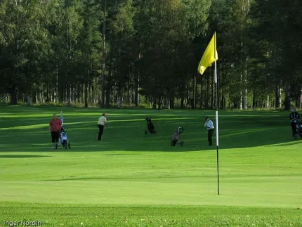 Golfgreen med flagga och golfspelare