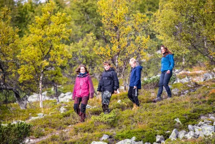 Four persons are walking downhill in the forest.