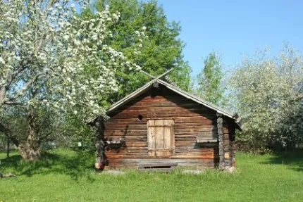 Flowering apple trees and log cabin.