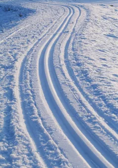 Skiing trails in the snow on a sunny day.