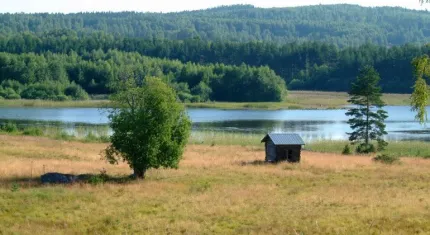 Utsikt över sommarlandskap med sjöar och betesmark.