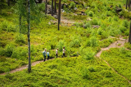 En kvinna och tre barn som vandrar på en stig i ett grönskande landskap.