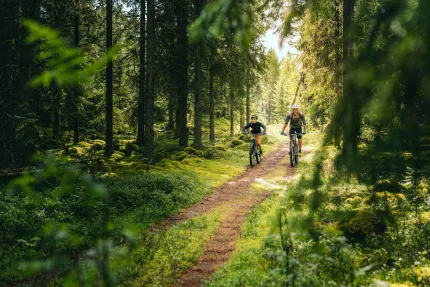 En man och en pojke som cyklar på en skogsstig, skog på båda sidor om stigen.