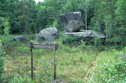 Stora stenblock med skog omkring.