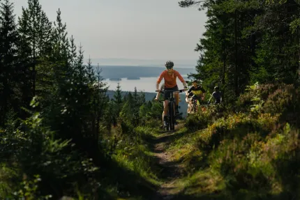 Cyklister på fin stig i skogen, i bakgrunden utsikt över vatten.