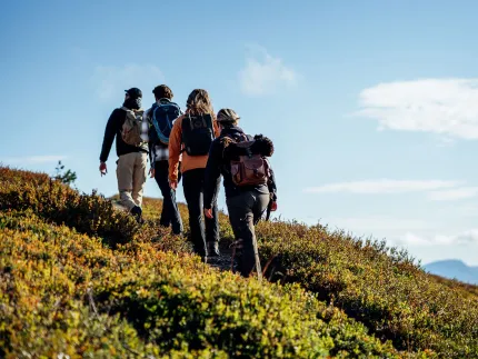 Four people are walking with backpacks on a path up a steep slope.