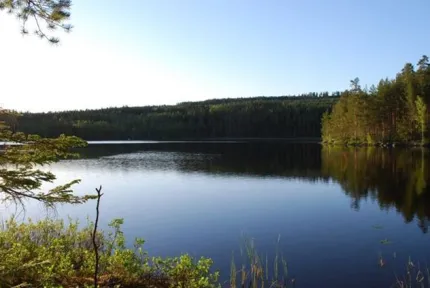 Blå sjö med fin skog omkring.