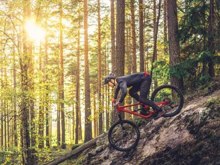 En cyklist som cyklar ,på en tuff led i skogen, solen skiner in mellan träden.