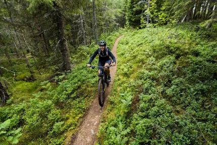 En cyklist på en stig i skogen.