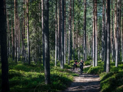 En man och en kvinna cyklar genom en skog.