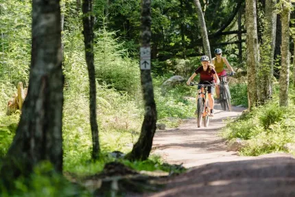 Two mountainbikes in the forest.