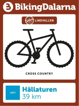 Biking Dalarna sign.