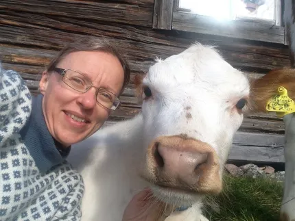 En person som tar en selfie med en ko.