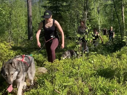 Husky Hiking