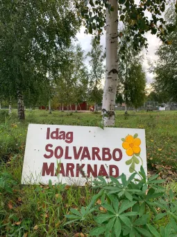 En röd bokstav på en vit yta.