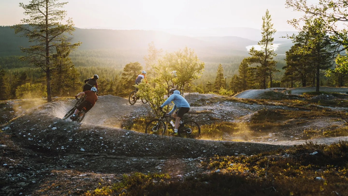 Ett gäng som cyklar på Idre Fjäll.