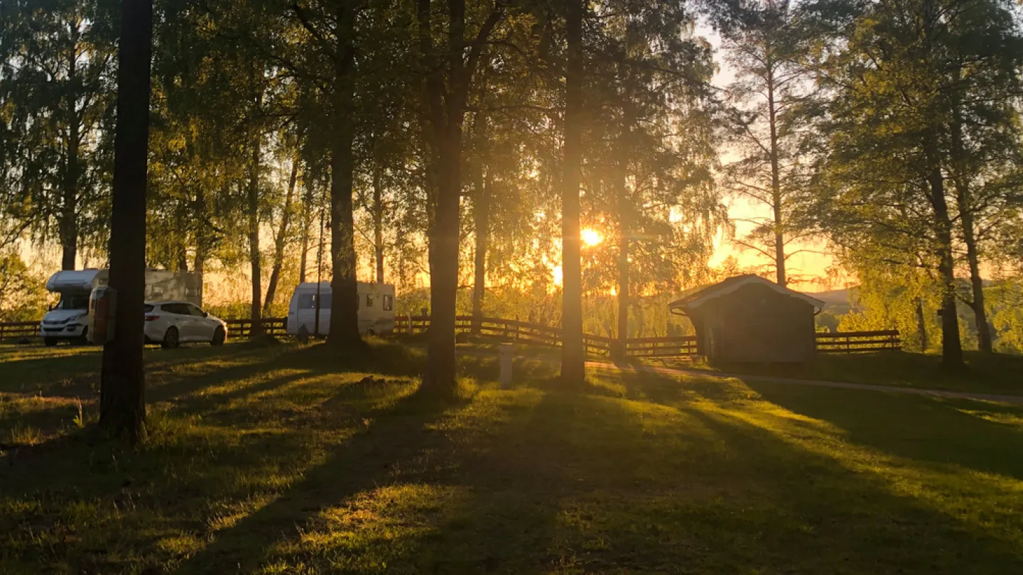 Camping i skogen i motjus