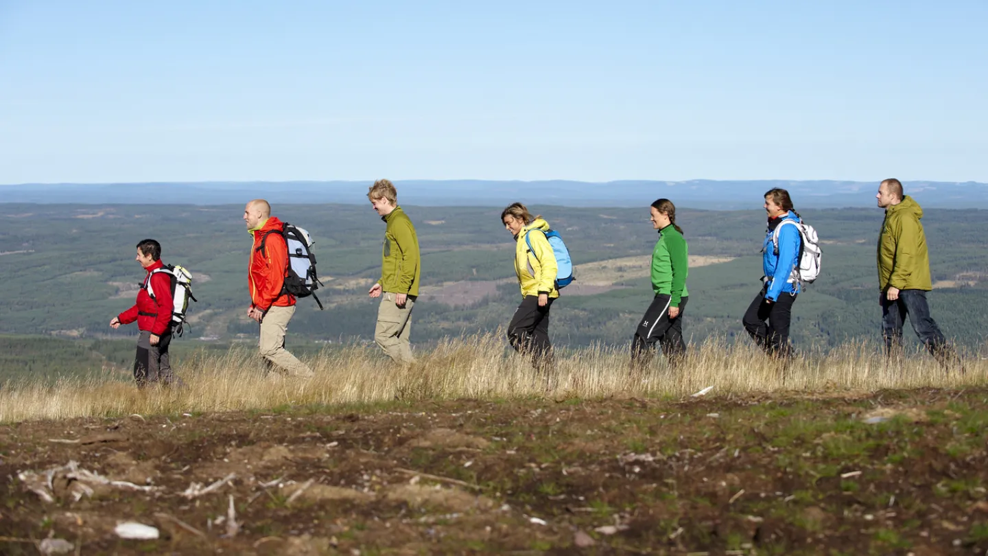 Gruppmänniskor som vandrar på kalfjäll.