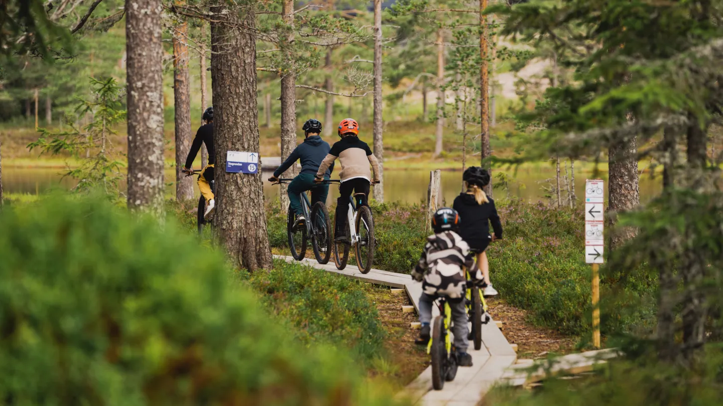 Folk som cyklar på led.