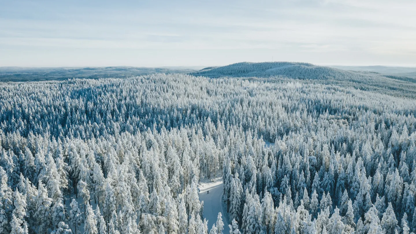 Vy över vinterlandskap.