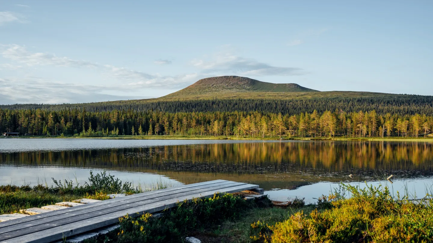 View over the mountain Städjan in Idre.