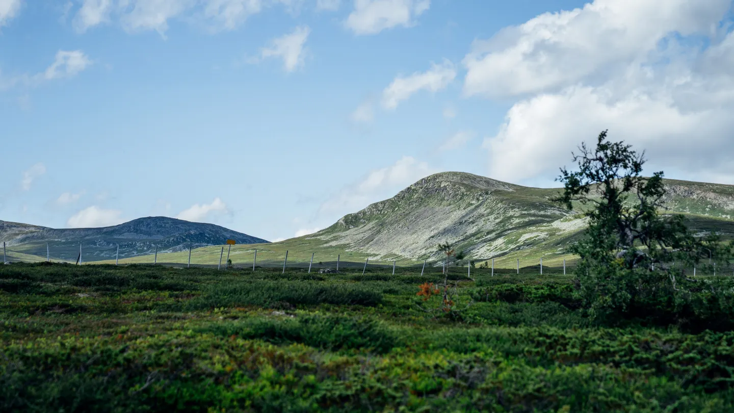 Vy över Grövelsjöfjällen