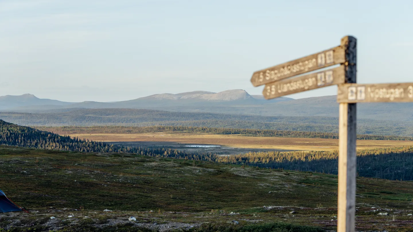 Vy över Nipfjällets naturreservat.