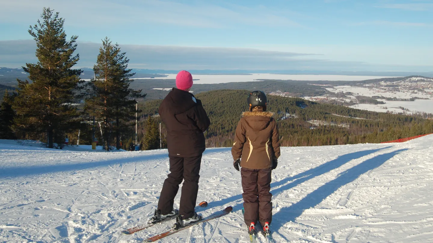 Två skidåkare i backen.