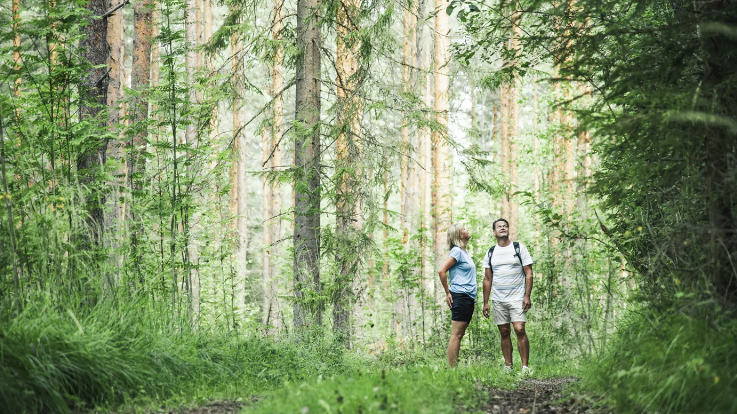 Två personer i skogen.