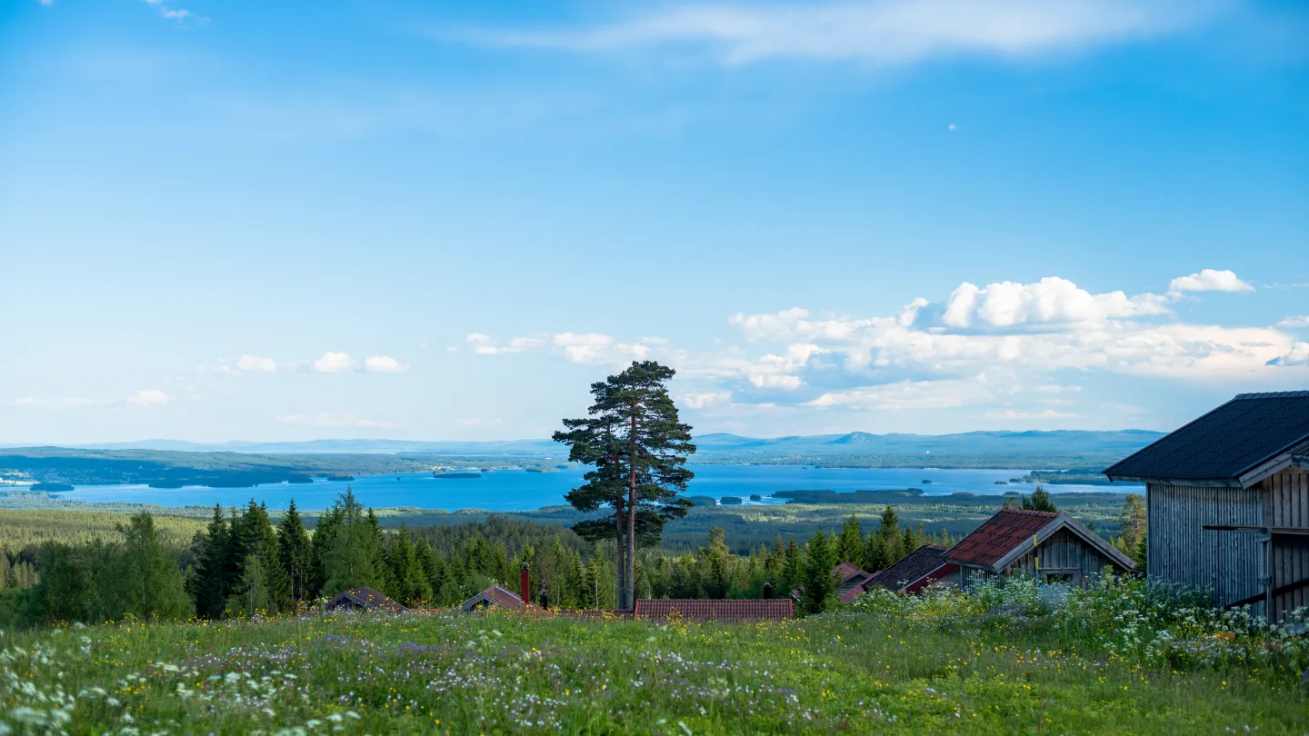 View of meadows and a lake.