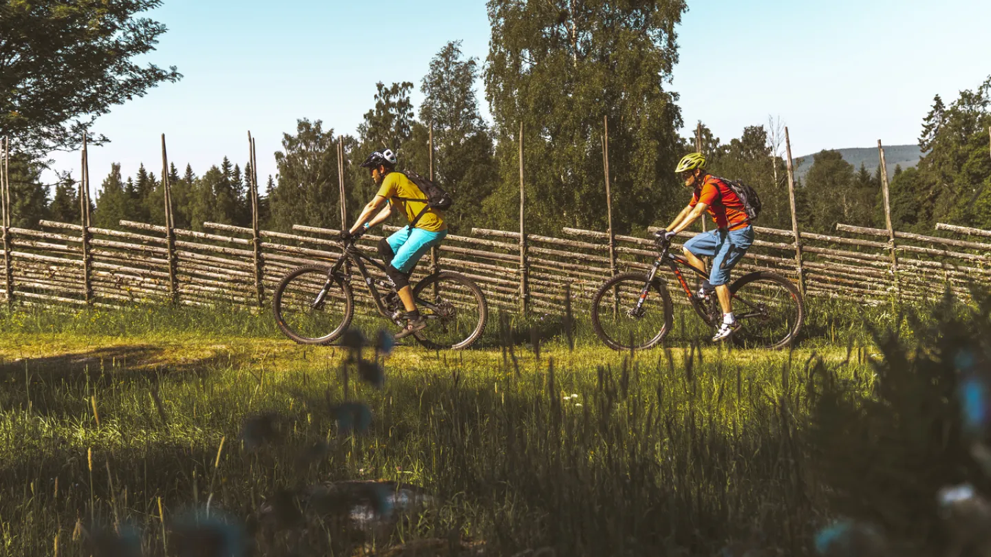 Två personer som cyklar.