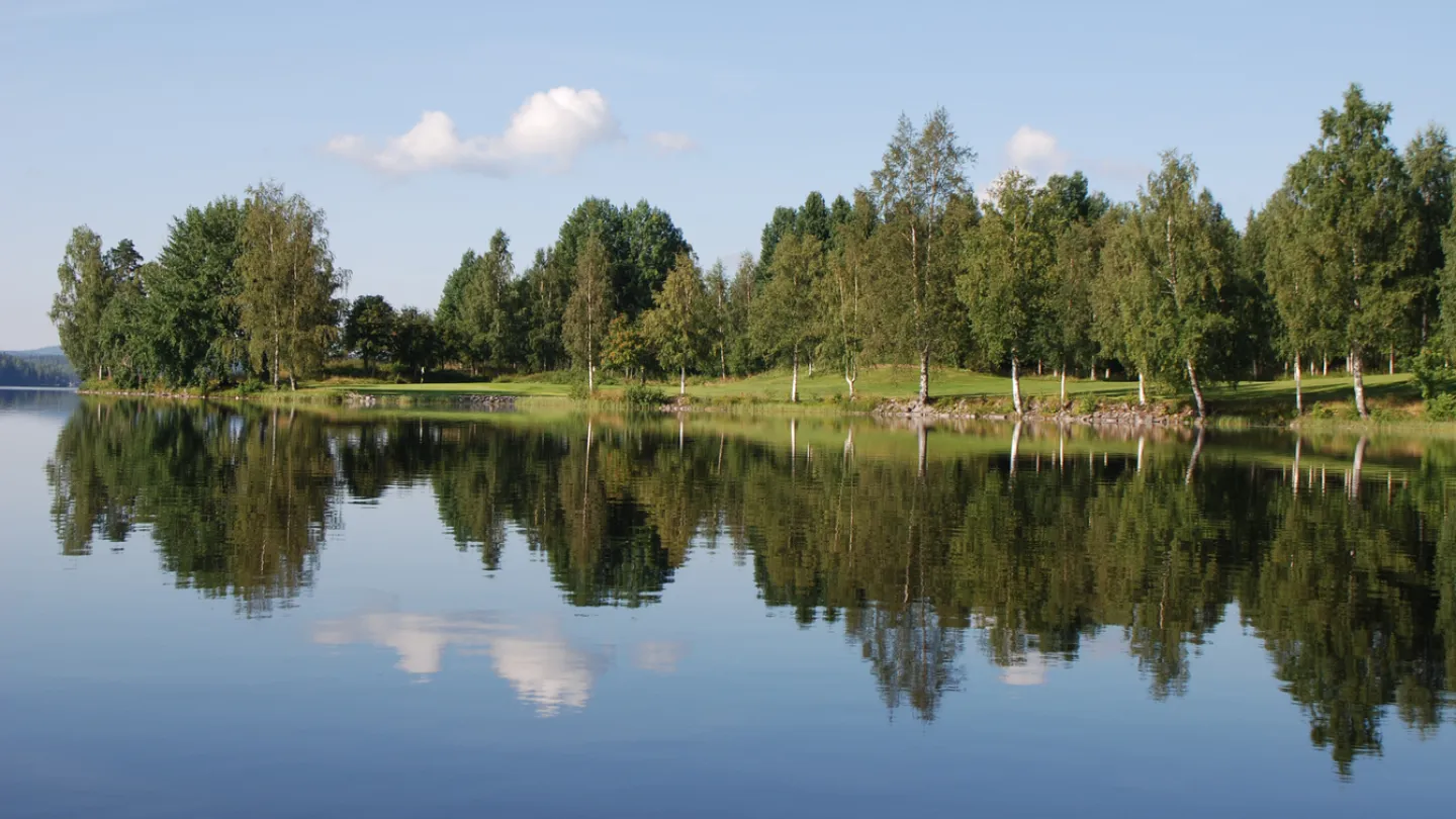 Fiskevatten i Ludvika.