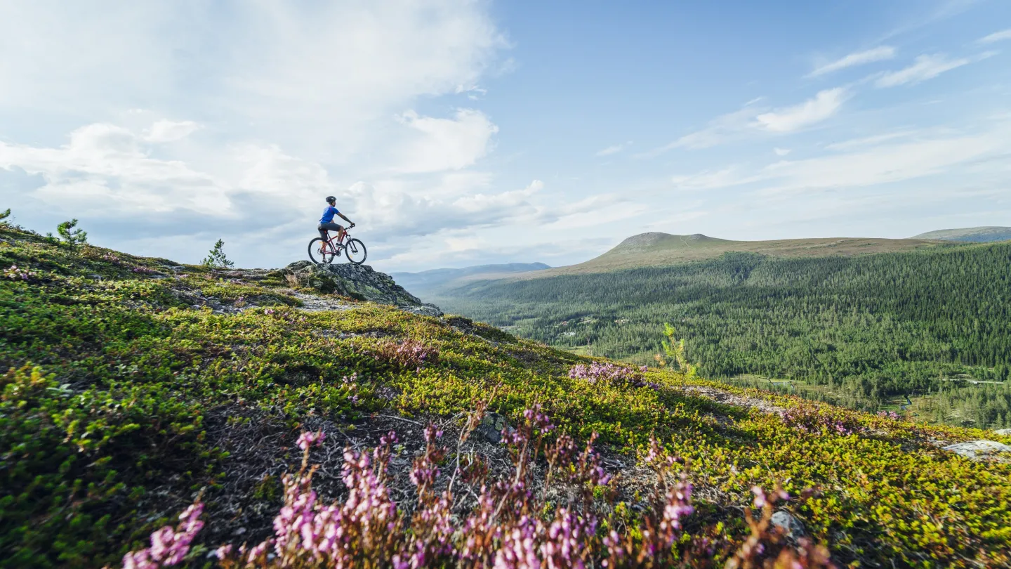 Cyklister på Idre Fjäll.