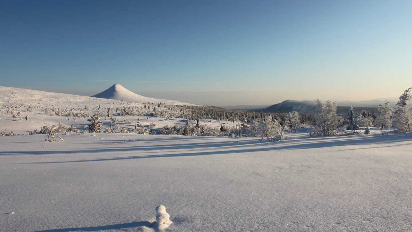 En snötäckt Städjan under en kall vintermorgon.