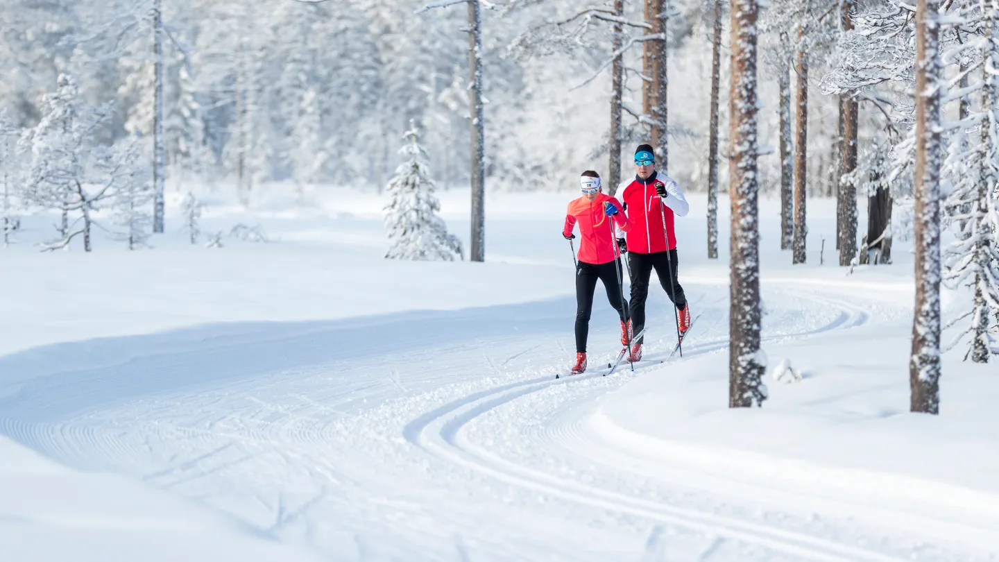 Två längdskidåkare i skidspår bland vintriga träd.