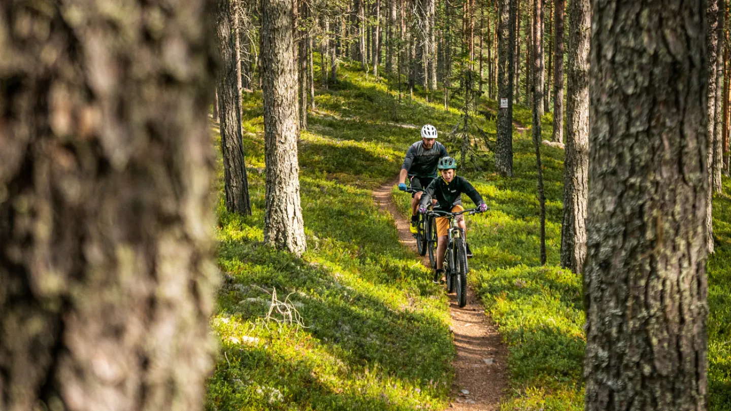 Två killar cyklar på skogsled.