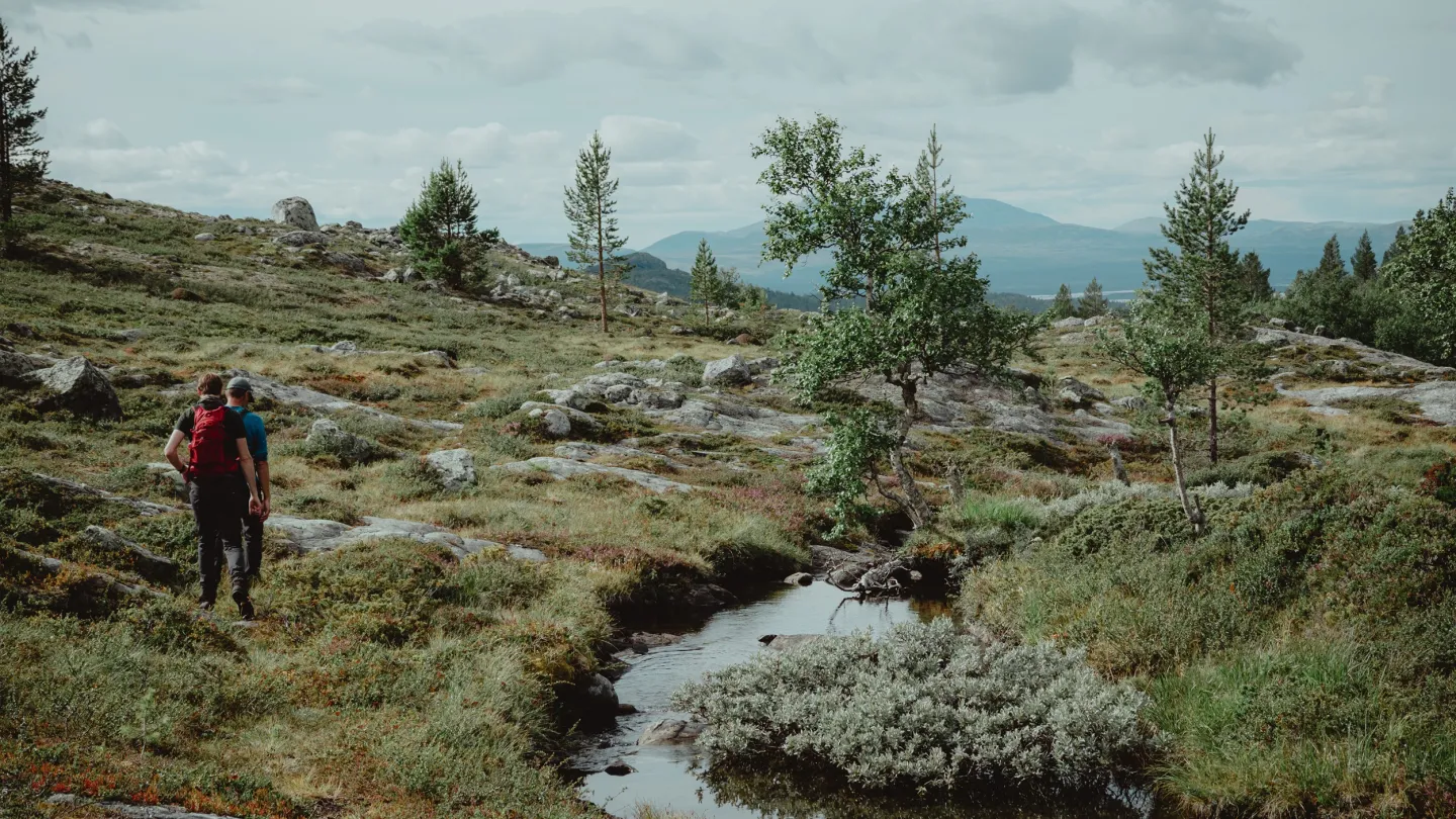 Par som vandrar i fjällnatur.