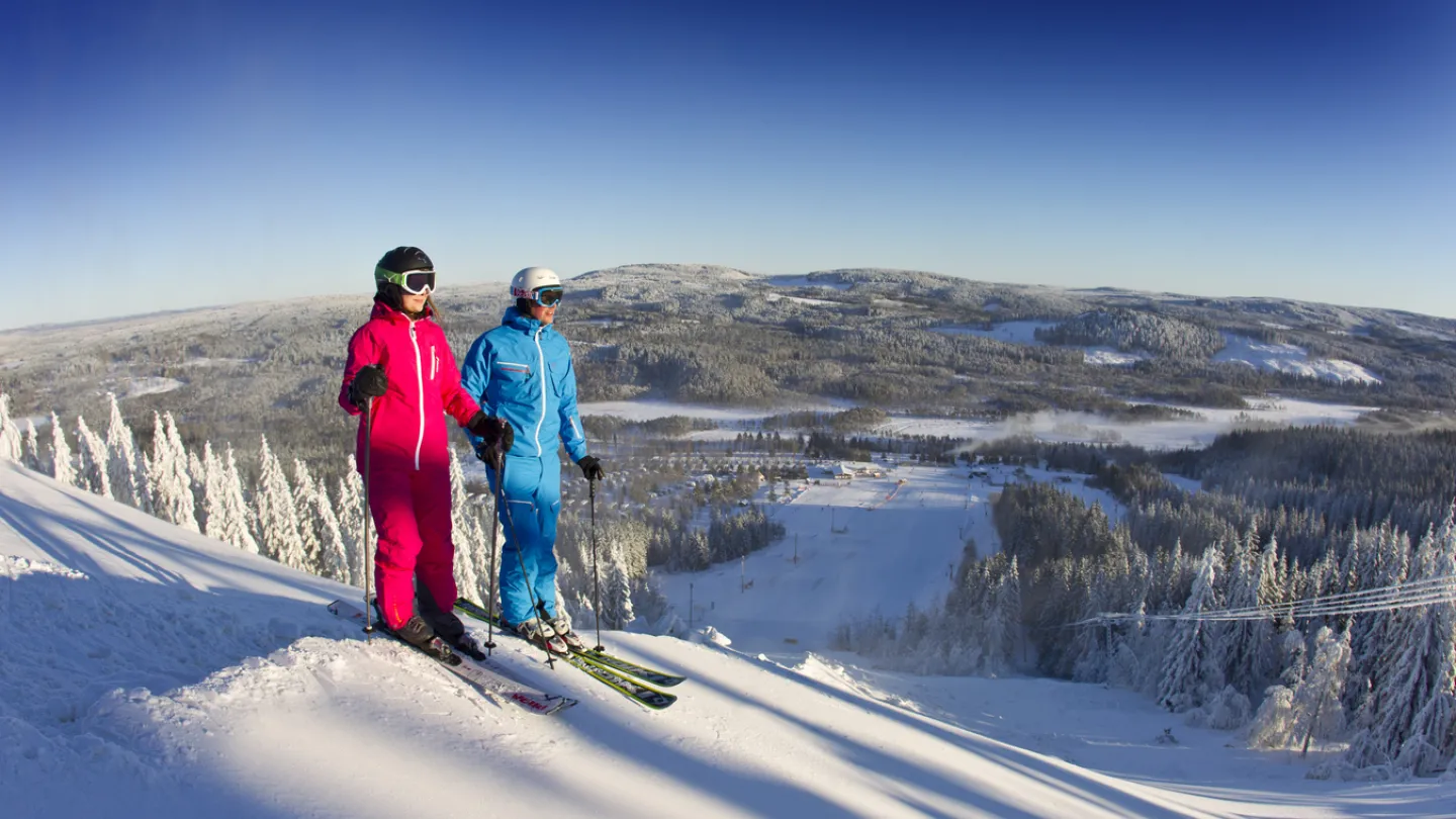 Skidåkare i backen.