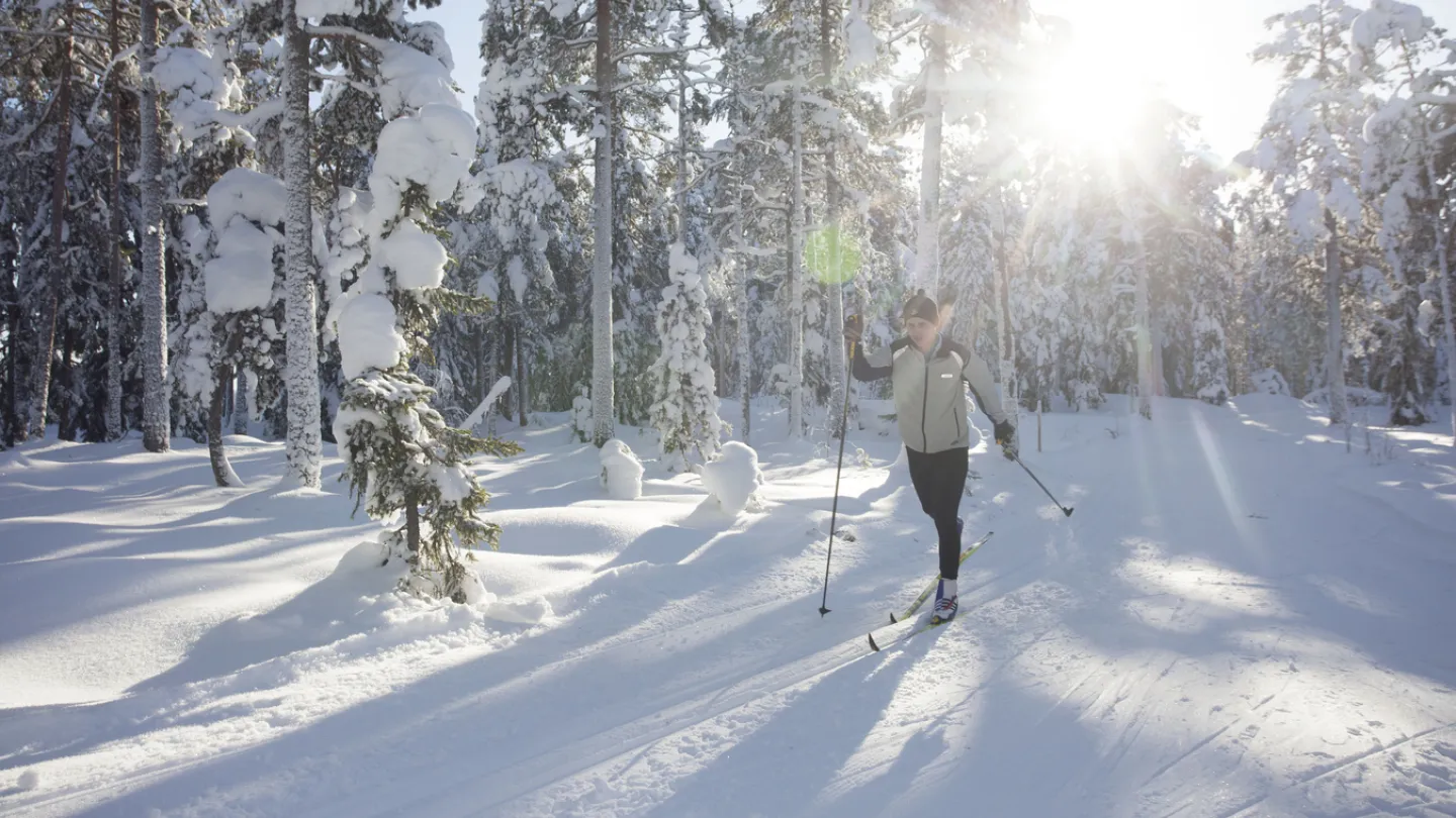 A cross-country skier.