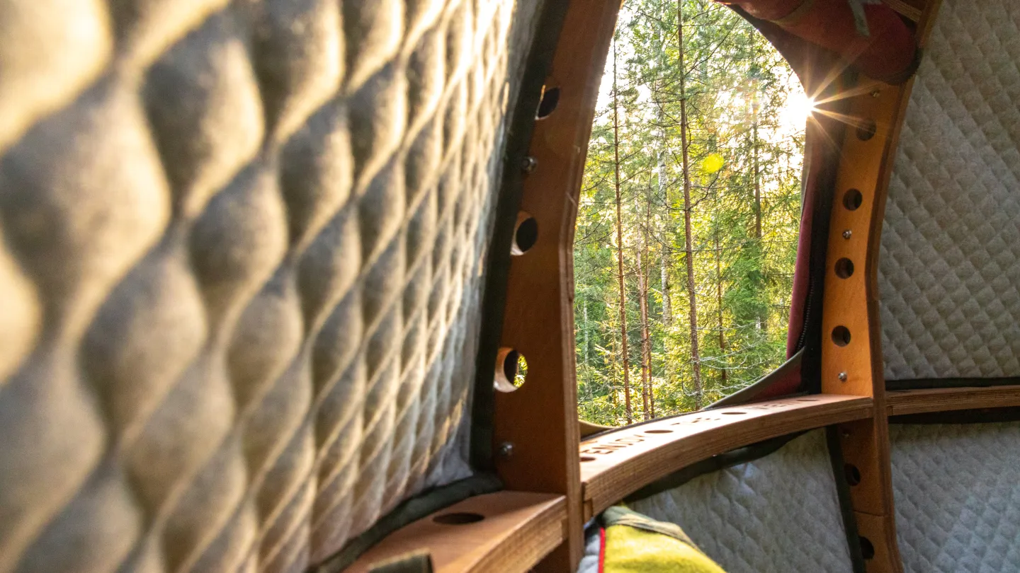 Window with a view of forest nature.