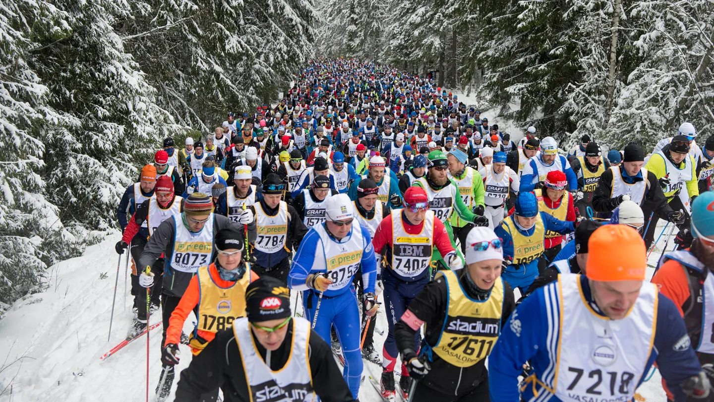 A large number of skiers climb a slope during the Vasaloppet.