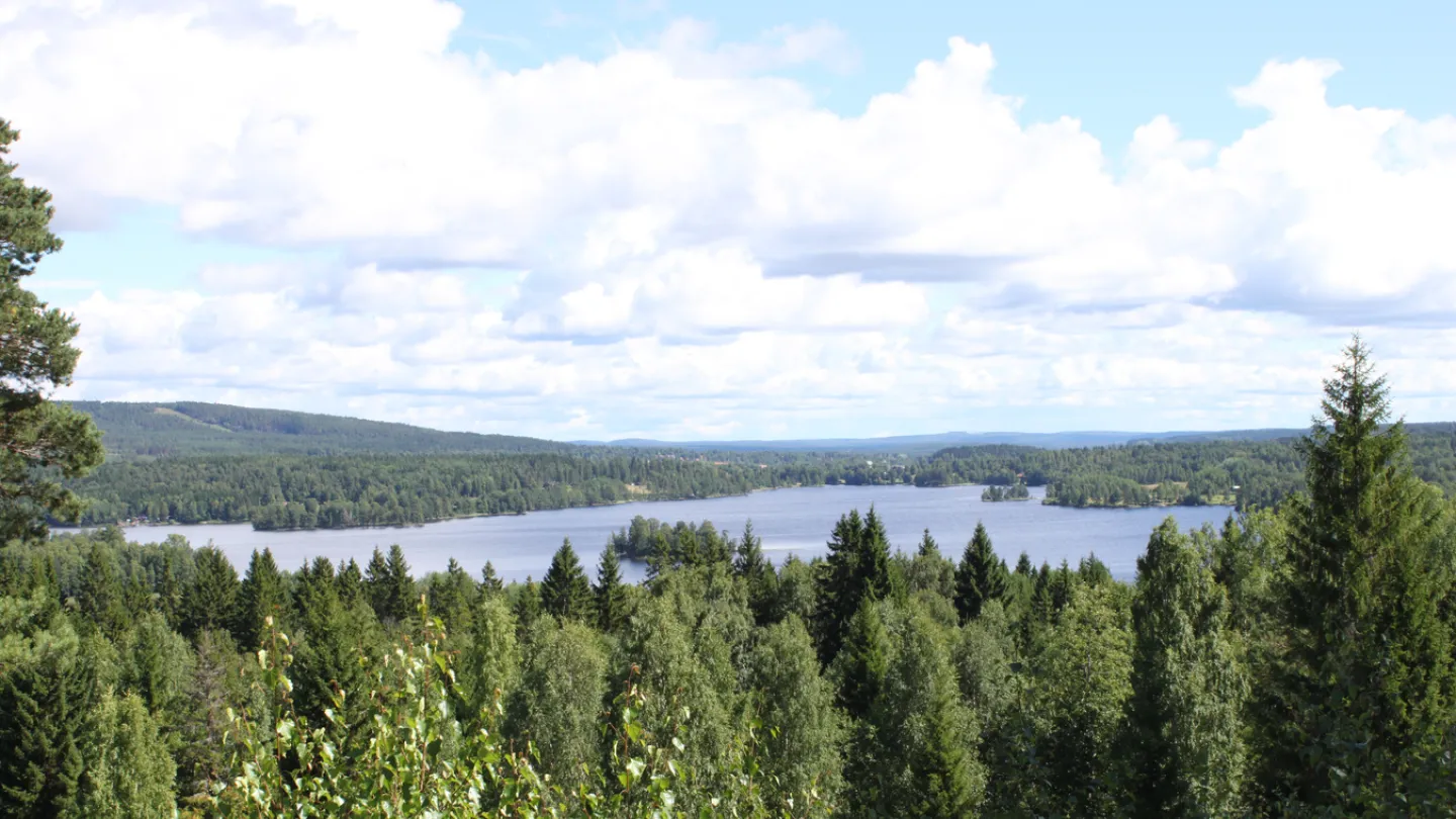 Vy över natur och sjö.