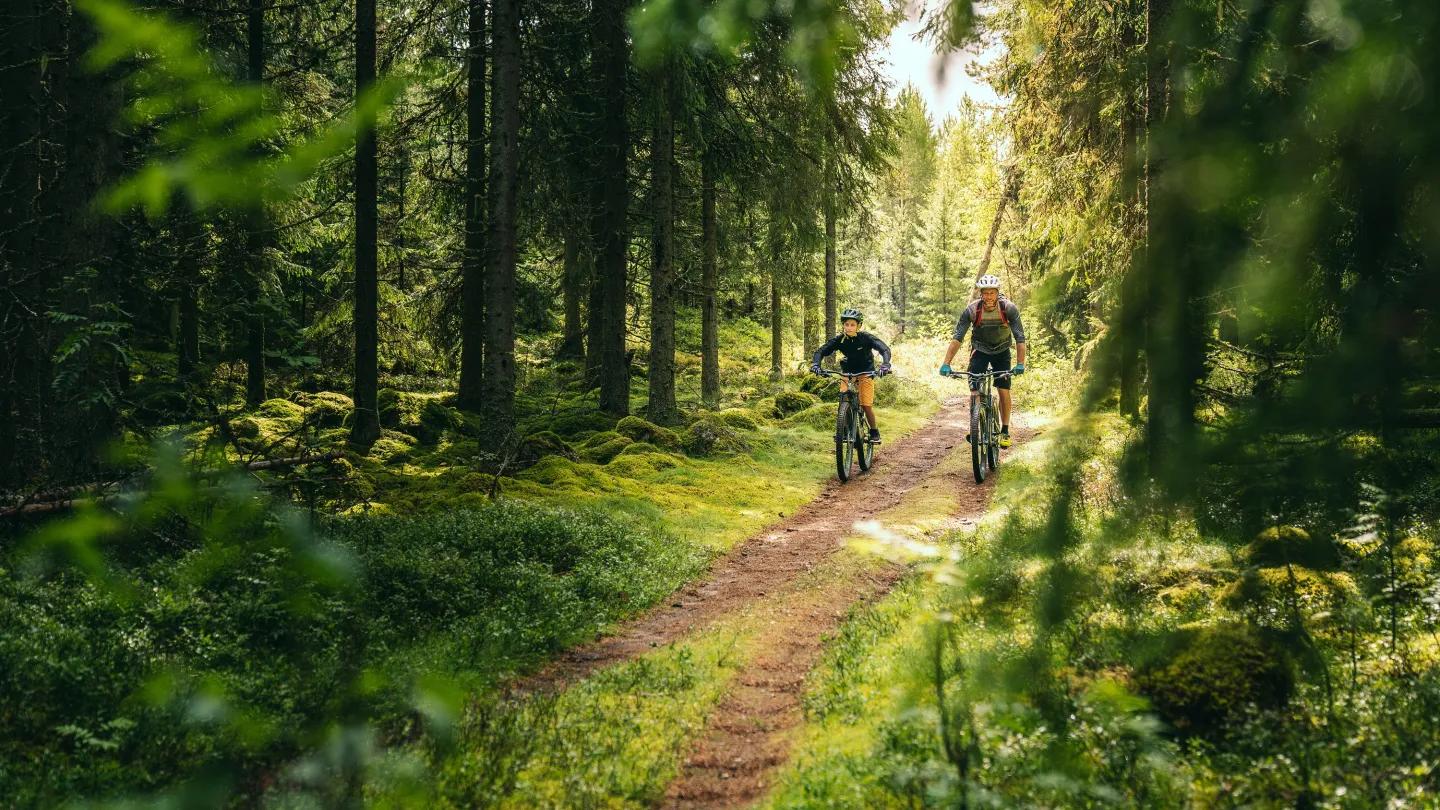 Två personer som cyklar längs en skogsled.