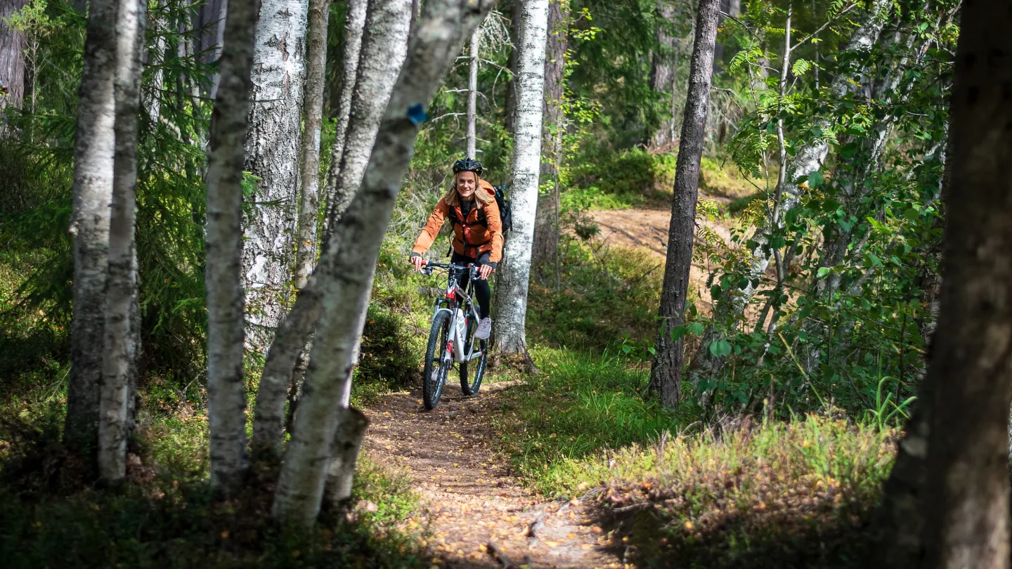 En person som cyklar längs en skogsled.