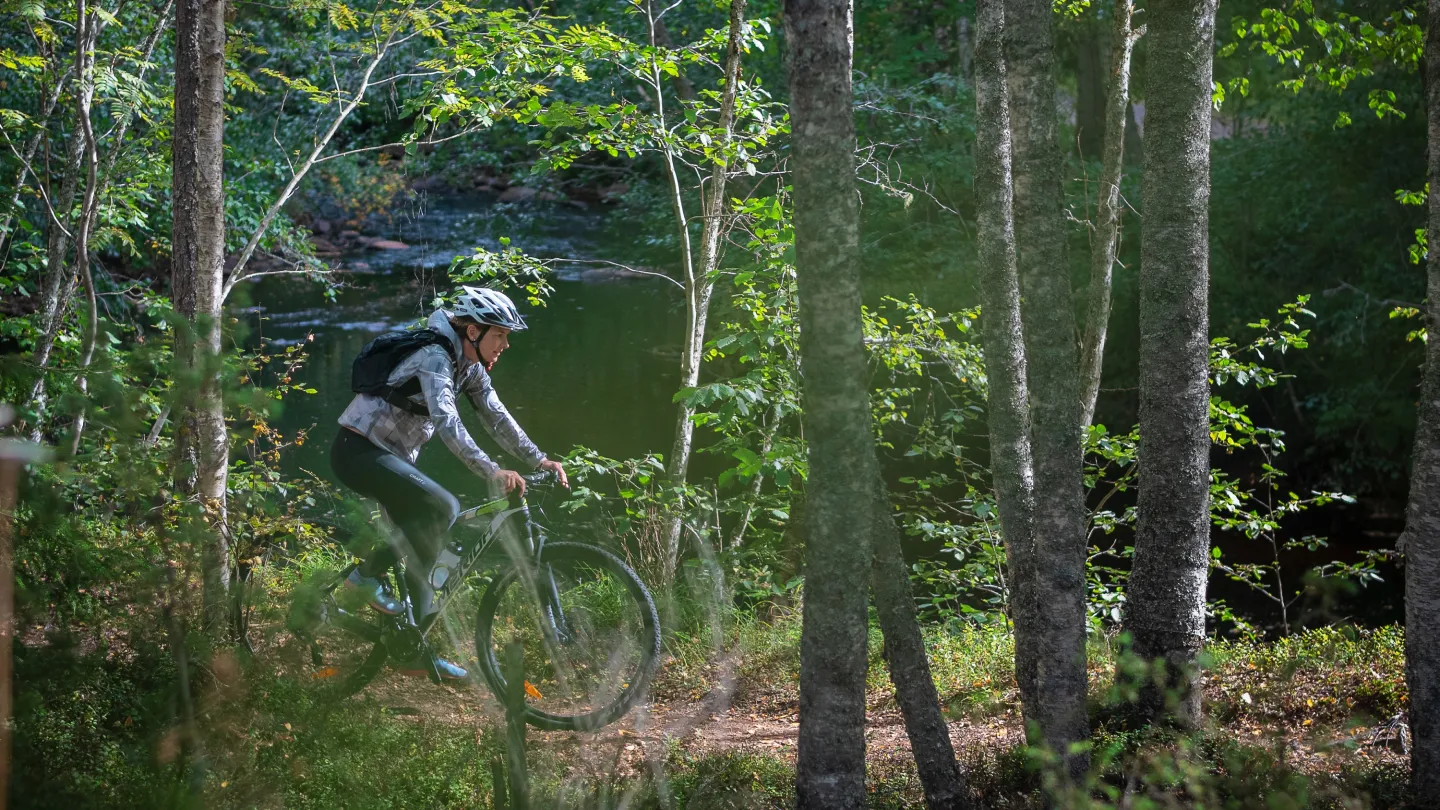 A biker in the forest.