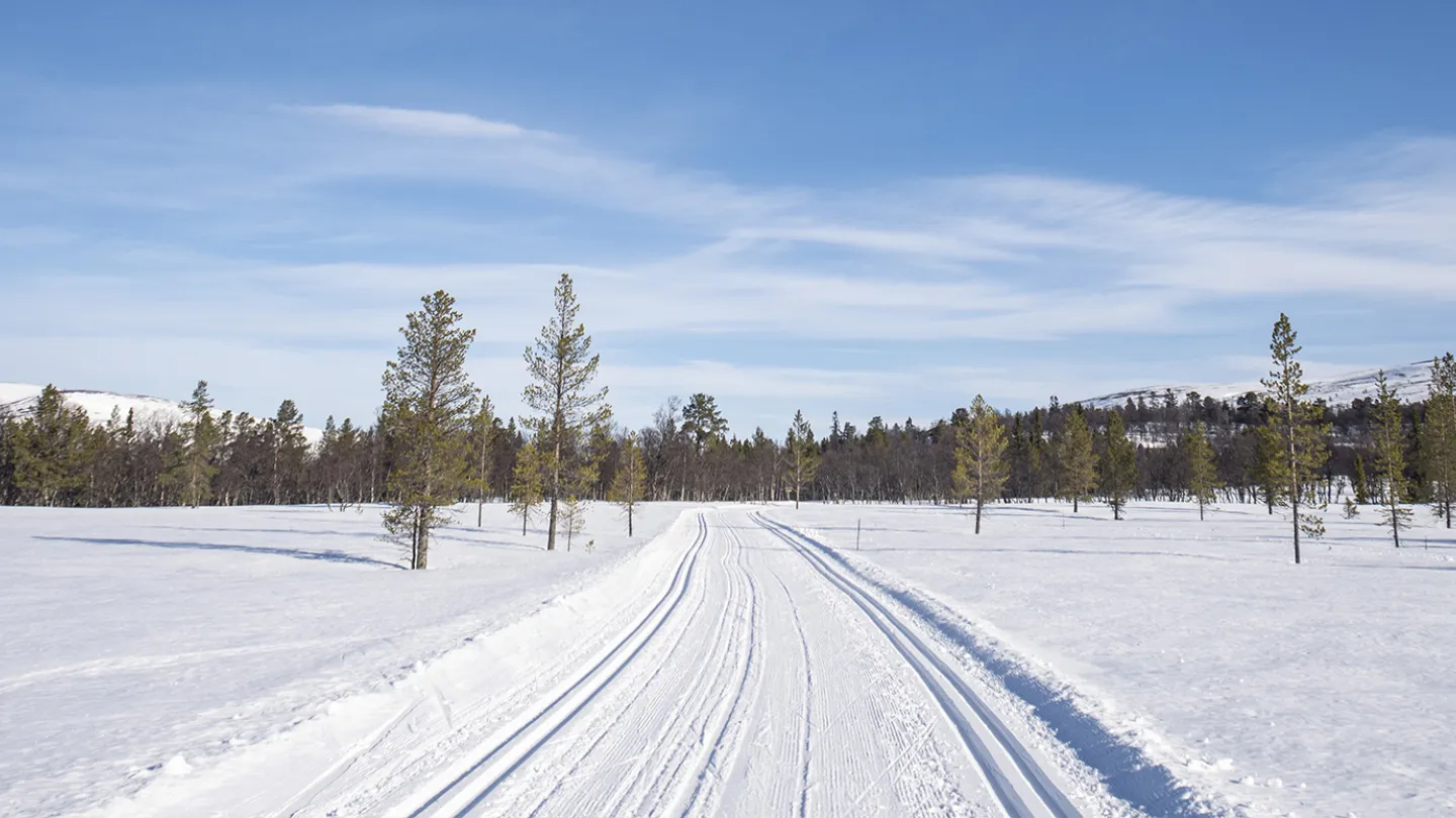 Längdspår under blå himmel i fjällmiljö.