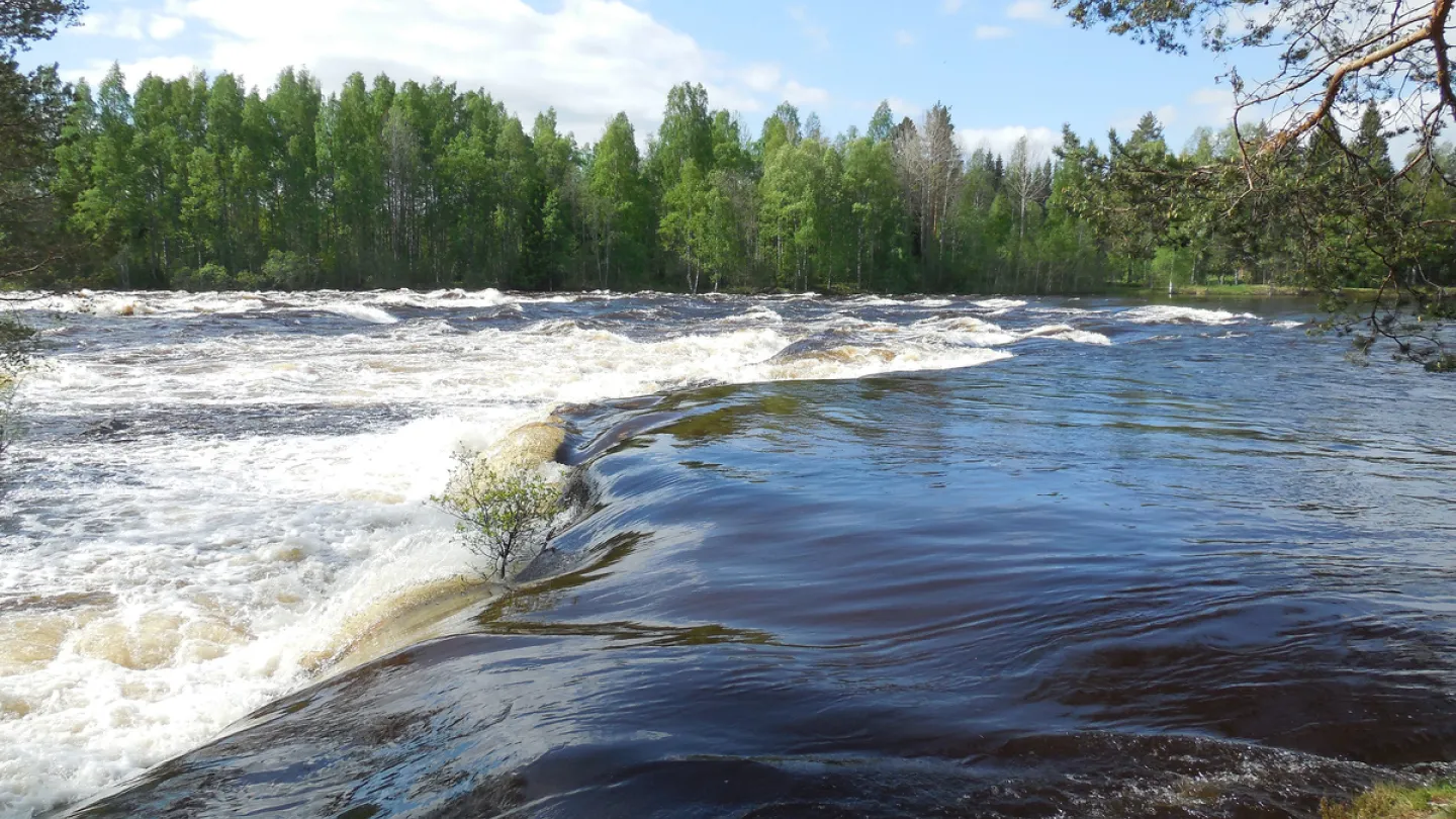 Käringforsen som strömmar.